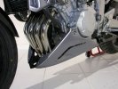Kryt motoru