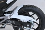 Zadn� blatn�k