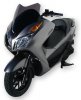 Plexi Sport