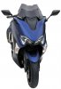Plexi Sport turist 31 cm