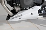 Kryt motoru