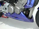 Kryt motoru