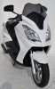 Plexi Sport