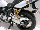 Zadn� blatn�k