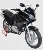 Plexi origin�l 24,5 cm