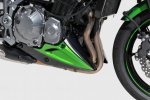 Kryt motoru