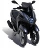 Plexi Sport 35 cm