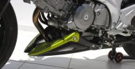 Kryt motoru