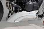 Kryt motoru