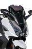 Plexi Sport 39 cm