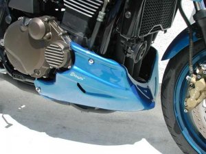 Kryt motoru