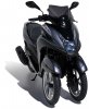 Plexi Sport 35 cm