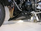 Kryt motoru