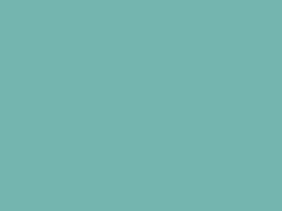 Plexi univerzln Nasty 29 cm zelen jasn - Kliknutm na obrzek zavete